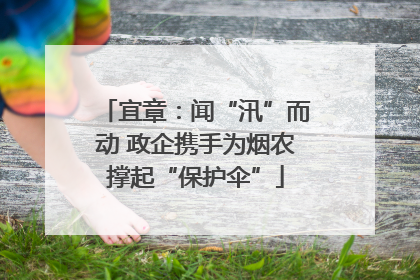 宜章：闻“汛”而动 政企携手为烟农撑起“保护伞”