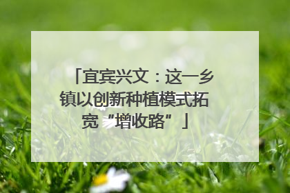 宜宾兴文：这一乡镇以创新种植模式拓宽“增收路”