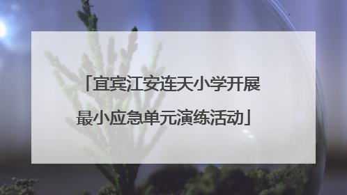 宜宾江安连天小学开展最小应急单元演练活动