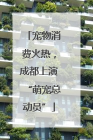 宠物消费火热，成都上演“萌宠总动员”