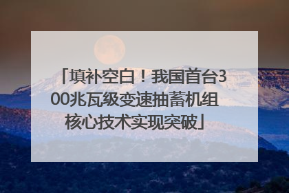 填补空白！我国首台300兆瓦级变速抽蓄机组核心技术实现突破