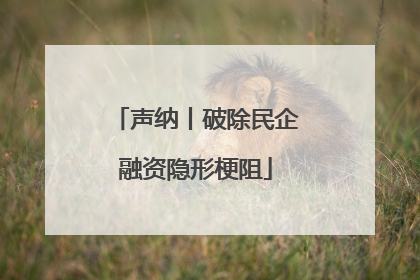 声纳丨破除民企融资隐形梗阻