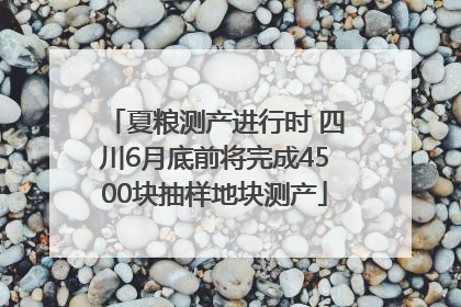 夏粮测产进行时 四川6月底前将完成4500块抽样地块测产