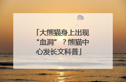 大熊猫身上出现“血洞”？熊猫中心发长文科普