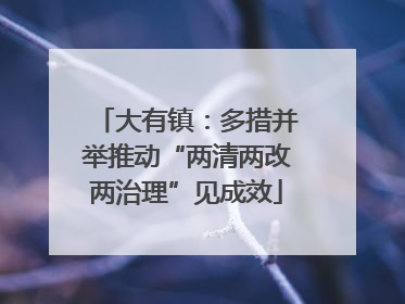 大有镇：多措并举推动“两清两改两治理”见成效