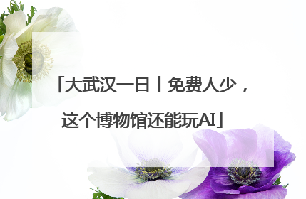 大武汉一日丨免费人少，这个博物馆还能玩AI