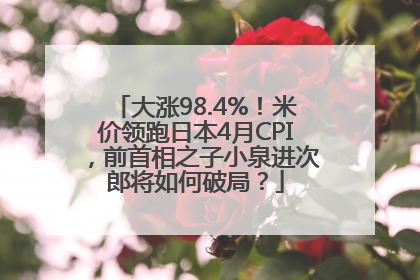 大涨98.4%！米价领跑日本4月CPI，前首相之子小泉进次郎将如何破局？
