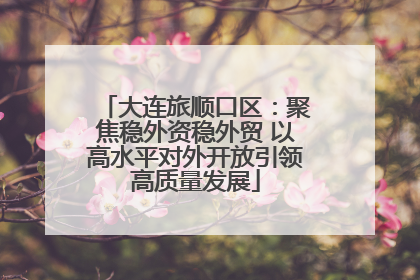 大连旅顺口区：聚焦稳外资稳外贸 以高水平对外开放引领高质量发展