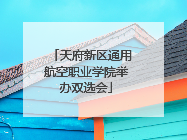 天府新区通用航空职业学院举办双选会