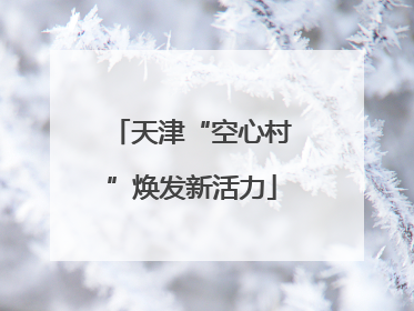 天津“空心村”焕发新活力