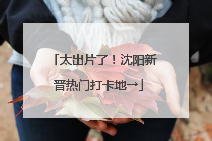 太出片了！沈阳新晋热门打卡地→