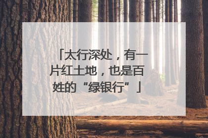 太行深处，有一片红土地，也是百姓的“绿银行”