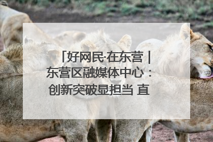 好网民·在东营｜东营区融媒体中心：创新突破显担当 直播赋能谱华章