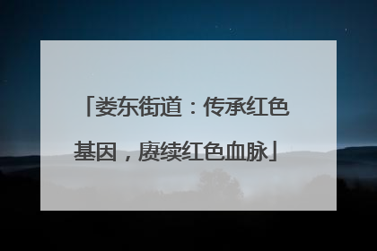 娄东街道：传承红色基因，赓续红色血脉