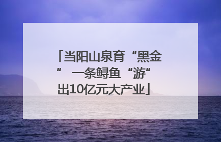 当阳山泉育“黑金” 一条鲟鱼“游”出10亿元大产业