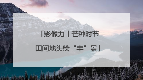 影像力丨芒种时节 田间地头绘“丰”景