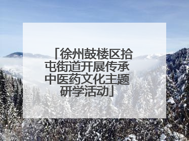 徐州鼓楼区拾屯街道开展传承中医药文化主题研学活动