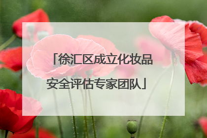徐汇区成立化妆品安全评估专家团队