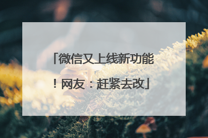 微信又上线新功能！网友：赶紧去改