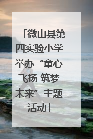 微山县第四实验小学举办“童心飞扬 筑梦未来”主题活动