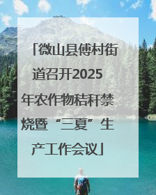 微山县傅村街道召开2025年农作物秸秆禁烧暨“三夏”生产工作会议
