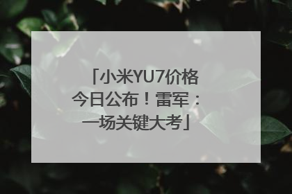 小米YU7价格今日公布！雷军：一场关键大考