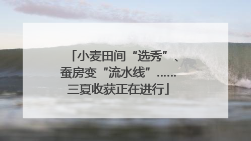 小麦田间“选秀”、蚕房变“流水线”……三夏收获正在进行