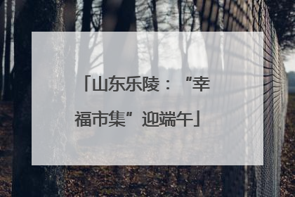 山东乐陵：“幸福市集”迎端午