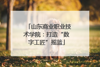 山东商业职业技术学院：打造“数字工匠”摇篮