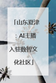 山东夏津：AI主播入驻数智文化社区