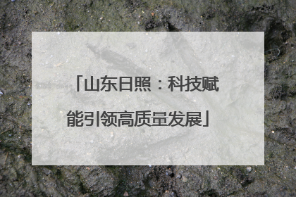 山东日照：科技赋能引领高质量发展