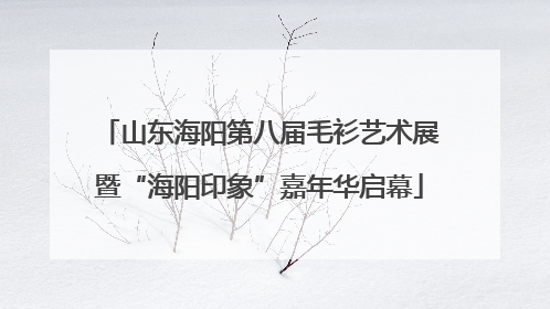 山东海阳第八届毛衫艺术展暨“海阳印象”嘉年华启幕