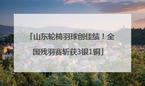 山东轮椅羽球创佳绩！全国残羽赛斩获3银1铜