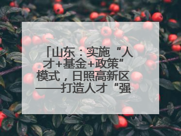 山东：实施“人才+基金+政策”模式，日照高新区——打造人才“强磁场”