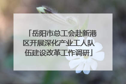 岳阳市总工会赴新港区开展深化产业工人队伍建设改革工作调研