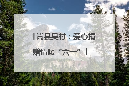 嵩县吴村：爱心捐赠情暖“六一”