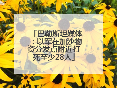巴勒斯坦媒体：以军在加沙物资分发点附近打死至少28人