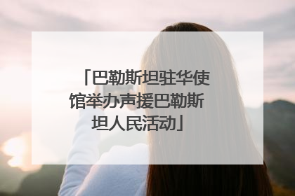 巴勒斯坦驻华使馆举办声援巴勒斯坦人民活动