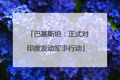 巴基斯坦：正式对印度发动军事行动