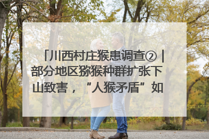 川西村庄猴患调查②｜部分地区猕猴种群扩张下山致害，“人猴矛盾”如何寻找最优解？