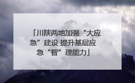 川陕两地加强“大应急”建设 提升基层应急“智”理能力