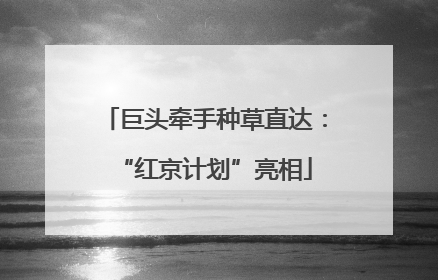 巨头牵手种草直达：“红京计划”亮相