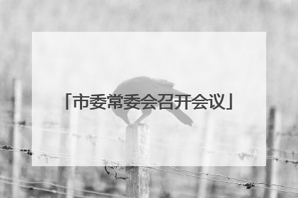 市委常委会召开会议