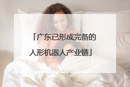 广东已形成完备的人形机器人产业链