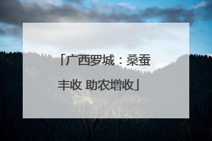 广西罗城：桑蚕丰收 助农增收