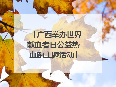 广西举办世界献血者日公益热血跑主题活动