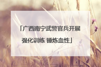 广西南宁武警官兵开展强化训练 锤炼血性