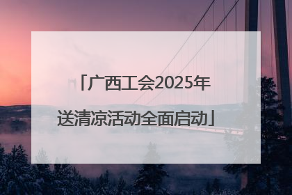 广西工会2025年送清凉活动全面启动
