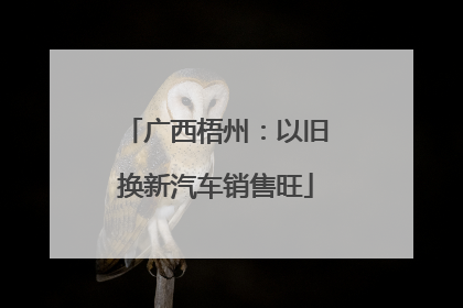 广西梧州：以旧换新汽车销售旺