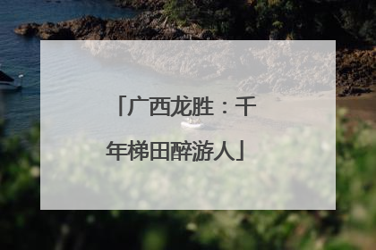 广西龙胜：千年梯田醉游人